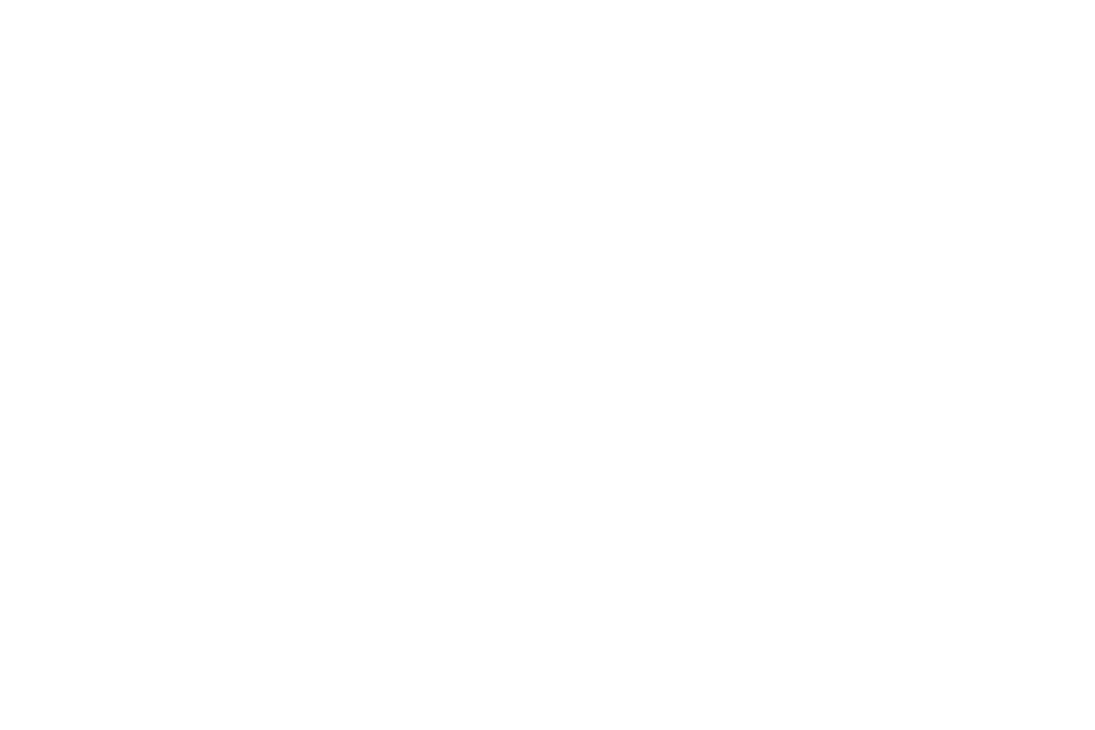 Web x Jordan Logo